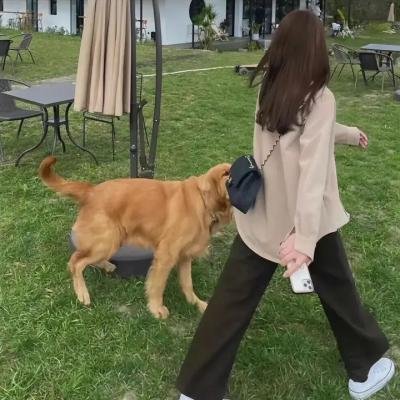血洒鳄鱼潭